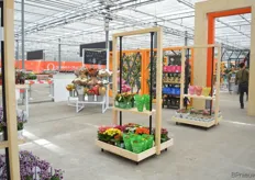 Retail concepten gepresenteerd bij Dümmen Orange.