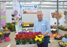 Hubert Brandkamp met de Vidi Purple, new Vidi Red and Yellow Cayman. Deze laatste twee pot chrysanten zijn noviteiten. Ze zijn gekenmerkt door de grote bloemen.