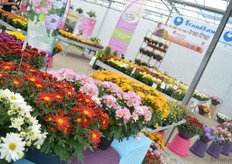 Pemba series van Brandkamp.