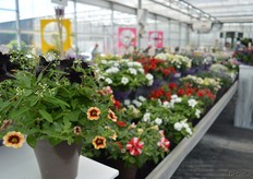 Een van de mixen van Schneider.