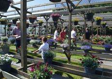 Bij Jonge Planten Grünewald.