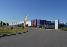 Benary en Volmary presenteerde hun produvten bij Kébol in Rijsenhout.