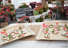 Wist je dat de bloemen van begonia's eetbaar zijn? Bij Benary werden de Big Begonia bloemen op een crackertje geserveerd. Volgens Günter kan het benadrukken van deze eigenschap het jongere publiek enthousiasmeren voor deze plant.