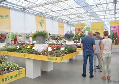 Volmary FlowerTrials locatie.