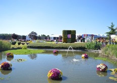 De tuin bij Royal Van Zanten.