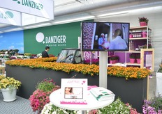 Bij Danziger konden de bezoekers een Amore petunia sturen naar een dierbare in Europa.