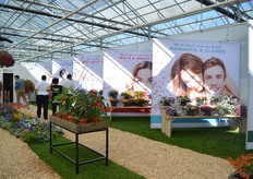 Hier presenteert Danziger hun combinatis; Mixis.