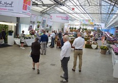 Bij Royal Van Zanten.