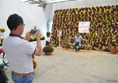 De schommel voor het Skyfall assortiment van Royal Van Zanten, een mooi foto moment.