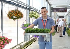 Mario Rigatti van Gruppo Padana was ook present bij MNP flowers. Op twee productielocaties in Italie vermeerderen ze verschillende planten.