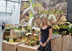 Jessica Meier van Hassingerr Orchideen voor de Sunrise Varieties collection. Deze collectie bestaat uit allerlei orchideen die de kleur van zonsopgang in zich hebben.