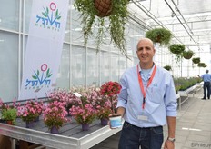 Eyal Klein van Hishtil met de geënte calibrachoa op stam.