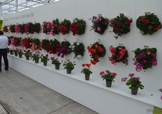 - en hier alle kleuren op een rij