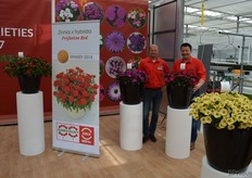 Menno Straver en Jasper Heemskerk, Sakata. De Profusion series bestaat al 20 jaar, maar nu wordt een eerste rode aan het assortiment toegevoegd. En omdat de serie al jaren faam geniet en ook deze rode op alle vlakken goed scoort, werd hij gelijk gefêteerd met een gouden Fleuroselect award.