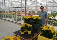 Peter van der Weteringen, Lily Looks. De Tiny Rangers is een makkelijker te telen, frisser van kleur zijnde en meer volumineuze gele potlelie. In de avond verwelkomde het bedrijf zo'n 150 man op de 'Lilies Night', waarbij relaties en consumenten het assortiment kwamen monsteren.