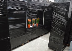 kijkje in het doolhof