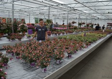 Jorn Mieog, Hendriks Young Plants. De van oorsprong plantenvermeerderaar heeft beschikt over een groeiende veredelingstak, waarbij de laatste jaren vooral naam gemaakt is met de Fuchsia's (de Bella-serie).