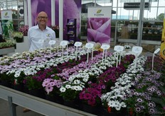 Pieter Lock, Evanthia