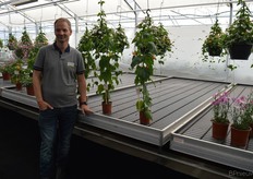 En last but not least, een nieuwkomer op de FlowerTrials: De Zonnebloem. Natuurlijk is het bedrijf vooral bekend van de varens, maar daarnaast heeft men een assortiment bijzondere producten & exoten. Een daarvan is de Abutilon, een plant met lantaarntjes. Op de foto Bart Oostveen.