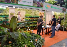 Vitro Warszawa, de Poolse tak van Vitro Westland, een bedrijf dat ook al vele jaren in het land actief is