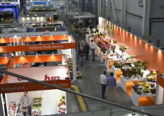 The Flower Expo was held in the Moscovian Crocus City between September 11th and 14th.