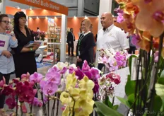 Mischa Groothuizen of phalaenopsis grower Levoplant knows the demand in the Russian market for large pot sizes. Now he sees there’s a new demand for more colours.