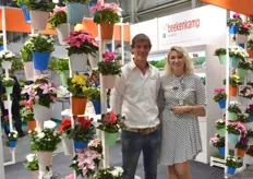 Koen van Koppen with colleague Tamara Elstgeest. Cyclamen, begonia’s and annuals like poinsettia’s are popular.