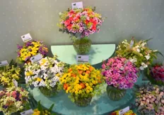 As one of the few companies Dekker Chrysanten didn’t just show their flowers, but also asked famous florists to create bouquets with it. That’s how they want to inspire the partners in the chain to combine santini’s with grasses and roses, for example. “We want to show what else is possible with our product.”