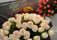 The flowers of NIRP International.