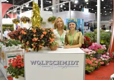 Wolfschmidt is selling youngplants and seeds from Selecta one, Kientzler, Benary and Brandkamp to Russian growers.