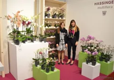 Iris en Jasmin Hassinger, Hassinger Orchids