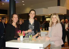 Willeke van der Dresen - Buitenlandse Zaken met Lillan Heseler en Linda Reijers van RVO