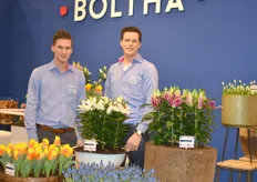 Bob and Sjaak from Boltha. Showing their Tullips their blue grapes and their lily's.