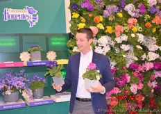 Director from Schoneveld Breeding Peter v/d Pol holding his Primula Polyanthus and Primula Obronica.
