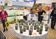 Nicole van Langen of Amigo Plants, proudly presenting 9 new varieties