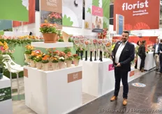 Stein Schouten, Florist. The Picolini, grown by Gerbera United, is given a new fancy packaging look