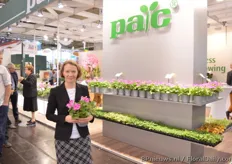 "Antonia Feindura of ELsner PAC presenting the new pelargonium Pinkerbel. It is a uniform growing pelargoniu, with a pink and light star flowers. This year, she started to supply this pelargonium and the reactions and interest is good. "Growers know our Candy flowers and know how to produce it. This product has the same growing habits."