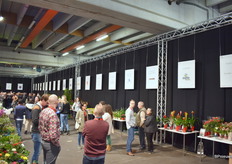 De gangen waar de kwekers hun producten mochten presenteren.