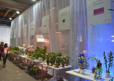 Nog een aantal tafels van kwekers.