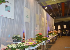 En nog een aantal met mooi vers product.