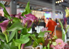 Och was n mooi bloemeke