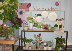 Vero Vito is een van de 4 stylen van de trends die FleuraMetz presenteerde.