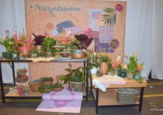 Last but not leest de style Moesson