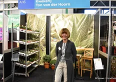 Miranda Meijer van Ton van der Hoorn kweekt succulenten en de afgelopen jaren zijn ze gegroeid, van een 2,5 ha kas naar een 4,5ha kas. Volgens Meijer is de vraag naar succulenten enorm hoog.