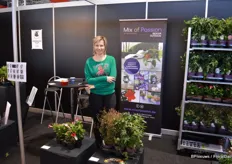 Quintijn Nancy van het Belgische Plantcare, dat onder het merk Mix of Passion een breed assortiment passie flora soorten voert