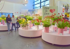 Live to Love werd hier mooi versiert met bijhorende Freesia's