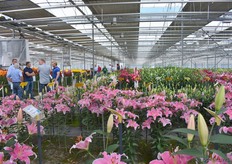 Er was goed wat aanloop. Niet alles, maar toch zeker het overgrote merendeel stond mooi in bloei