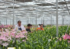 Interesse vanuit China