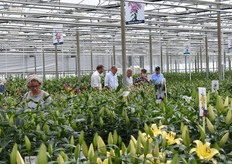 Niet alles stond in bloei maar dat weerhield de bezoekers niet lekker rond te neuzen in de kas.