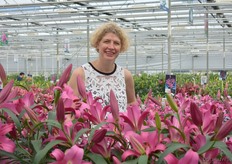 De nieuwe CFO van van den Bos, Martine de Kok.